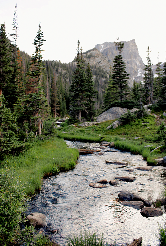 Looking to Nature as a Guide with Charly White - Interviewed by Lucy Matthews